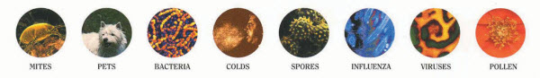 residential-purification residential-purification